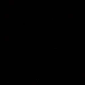 Meet your Posher, Ali